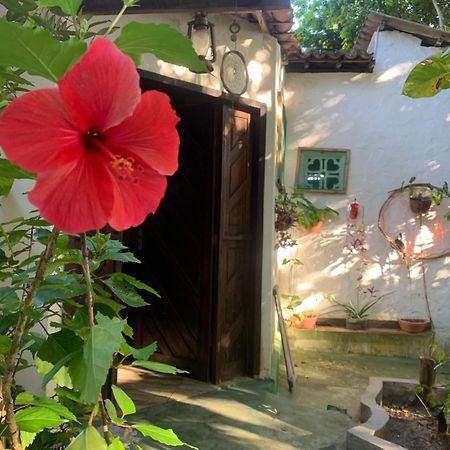 Conjunto Sol Roots Villa Praia de Pipa Dış mekan fotoğraf